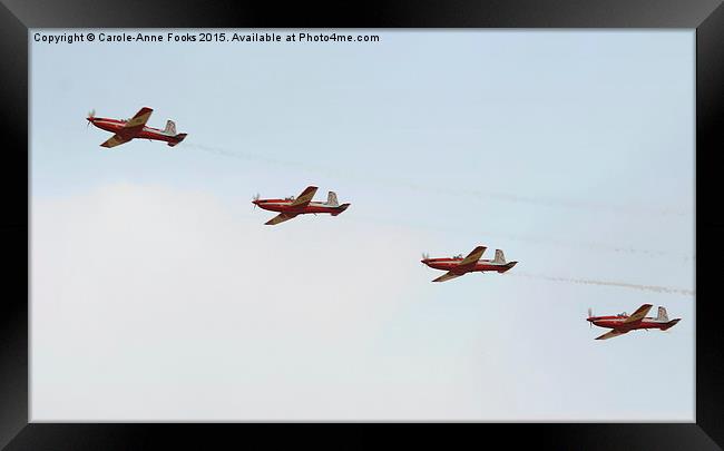    The Roulettes Framed Print by Carole-Anne Fooks