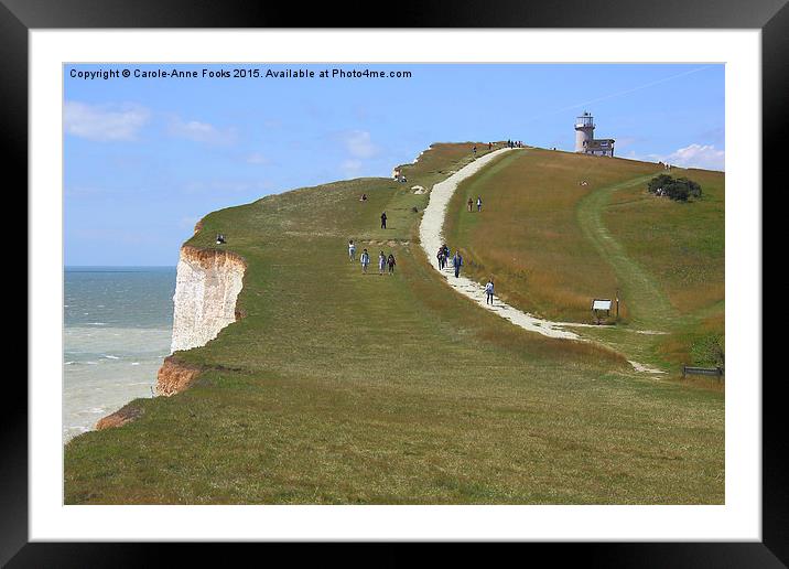   Seven Sisters From The Top Of The Cliffs Framed Mounted Print by Carole-Anne Fooks
