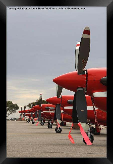   The Roulettes on the Ground Framed Print by Carole-Anne Fooks