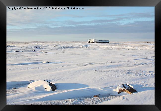 Tundra Buggy Lodge on the Vast Tundra Framed Print by Carole-Anne Fooks