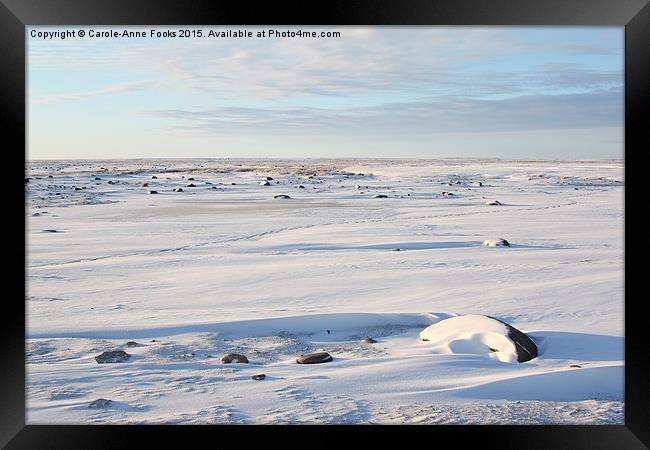  The Tundra in the Early Morning, Canada Framed Print by Carole-Anne Fooks