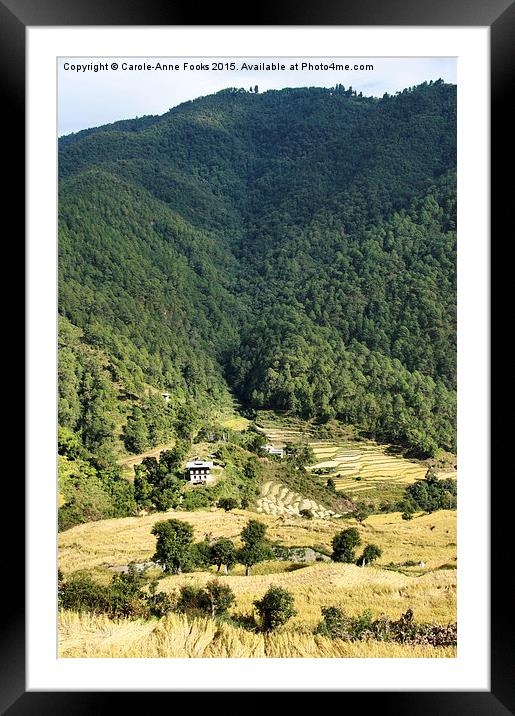  Eastern Himalaya Bhutan Framed Mounted Print by Carole-Anne Fooks
