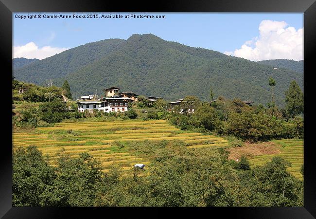 Farms & Landscape, Bhutan Framed Print by Carole-Anne Fooks