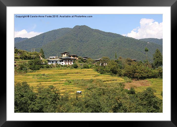  Farms & Landscape, Bhutan Framed Mounted Print by Carole-Anne Fooks