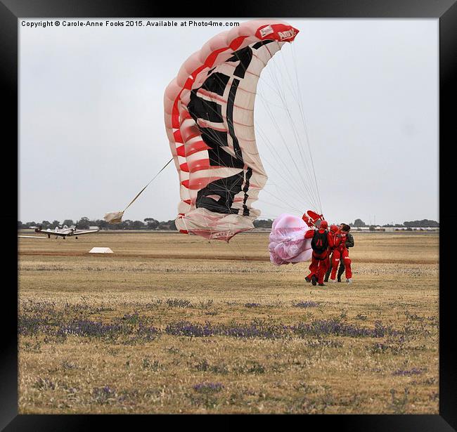  Army Red Beret Parachute Team Member Landing Framed Print by Carole-Anne Fooks