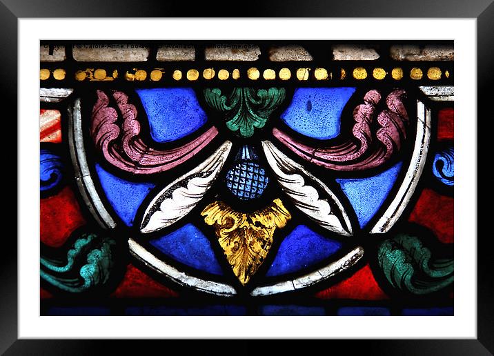    Stained Glass in Canterbury Cathedral Framed Mounted Print by Carole-Anne Fooks