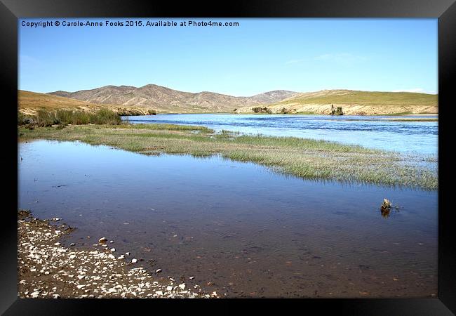   Gun Galuut, Mongolia Framed Print by Carole-Anne Fooks