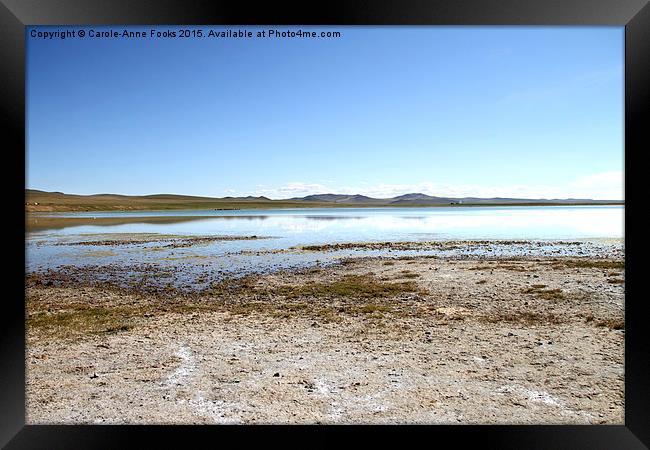  Gun Galuut, Mongolia Framed Print by Carole-Anne Fooks