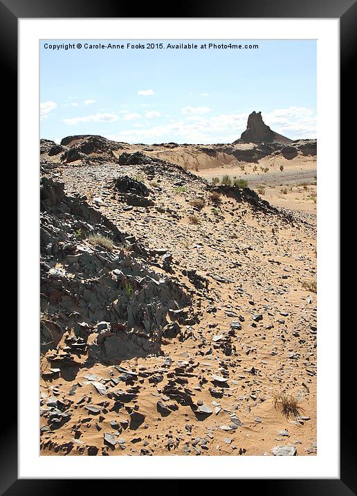  Southern Gobi Mongolia Framed Mounted Print by Carole-Anne Fooks