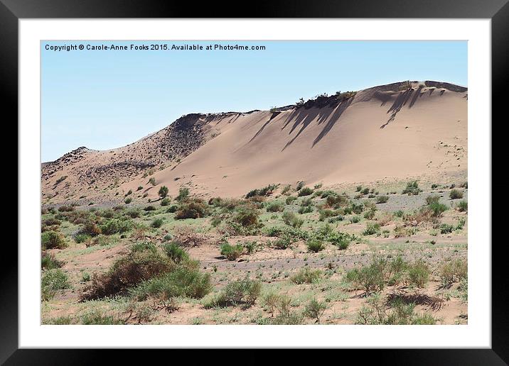  Southern Gobi Mongolia Framed Mounted Print by Carole-Anne Fooks