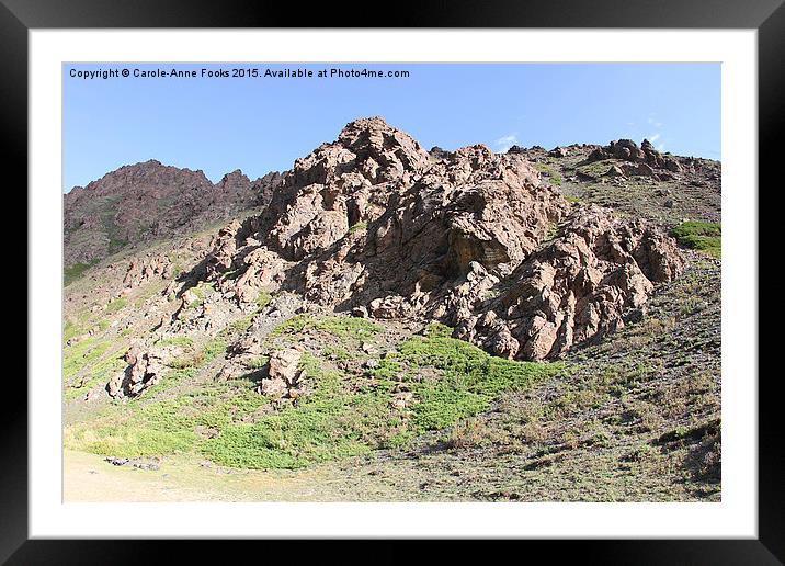   Southern Gobi Mongolia Framed Mounted Print by Carole-Anne Fooks