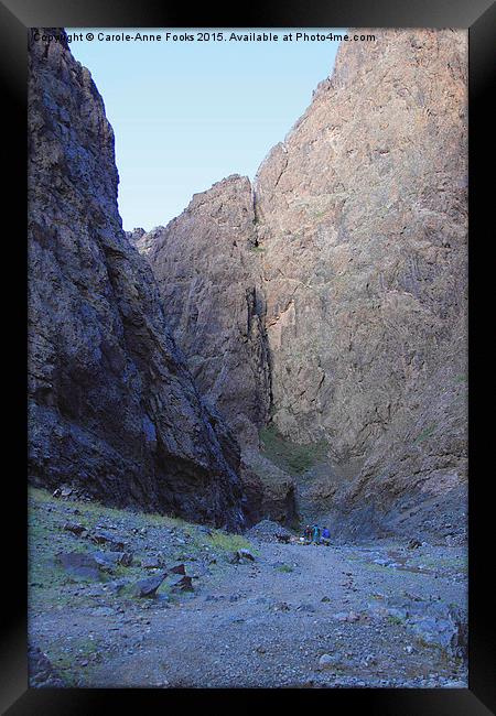  Southern Gobi Mongolia Framed Print by Carole-Anne Fooks