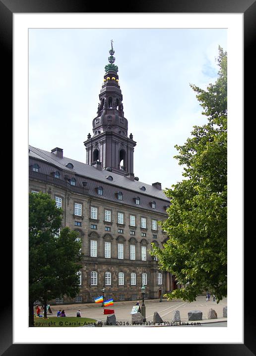 Copenhagen, City of Spires Framed Mounted Print by Carole-Anne Fooks