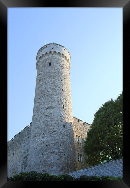 Toompea Castle Tallinn Old Town Estonia Framed Print by Carole-Anne Fooks