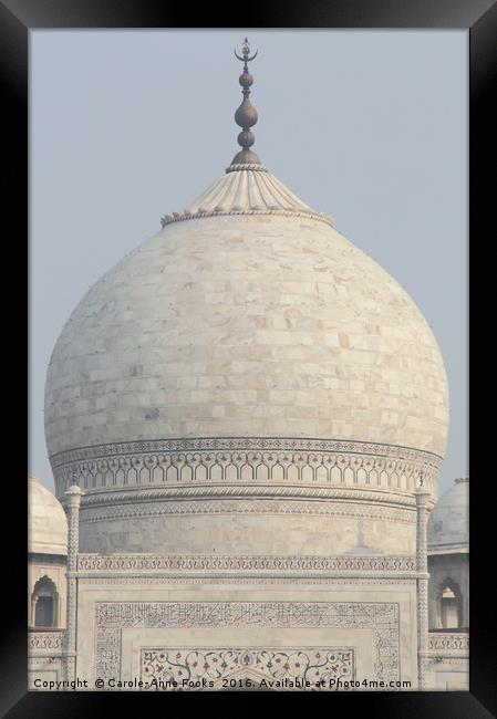 The Taj Mahal, Agra Framed Print by Carole-Anne Fooks