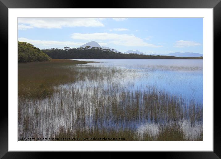 Tasmania, Melaleuca Lagoon Framed Mounted Print by Carole-Anne Fooks