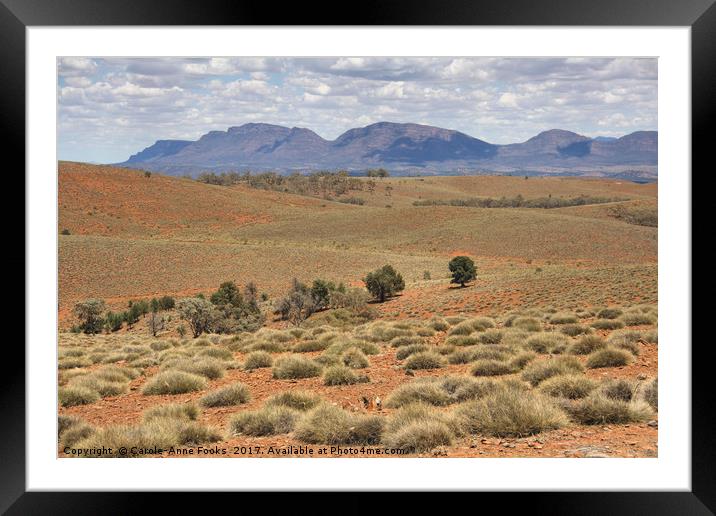 Wilpena Pound, Flinders Ranges in the Spring Framed Mounted Print by Carole-Anne Fooks