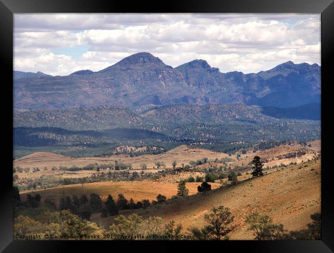 Wilpena Pound, Flinders Ranges in the Spring Framed Print by Carole-Anne Fooks