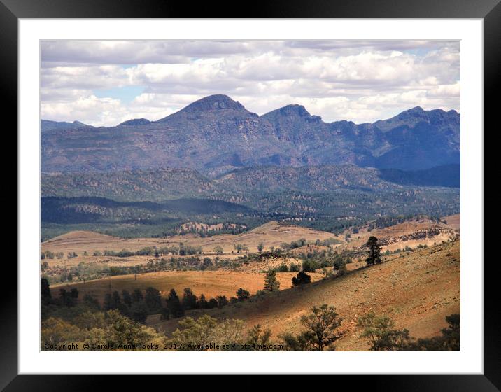 Wilpena Pound, Flinders Ranges in the Spring Framed Mounted Print by Carole-Anne Fooks