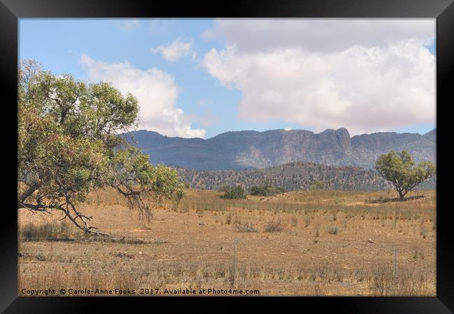 Elder Range, Flinders Ranges Framed Print by Carole-Anne Fooks