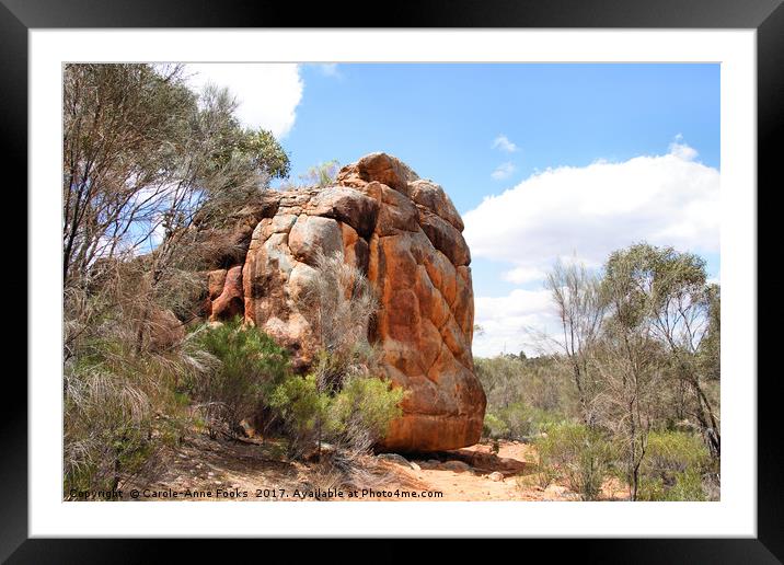 Flinders Ranges, South Australia Framed Mounted Print by Carole-Anne Fooks