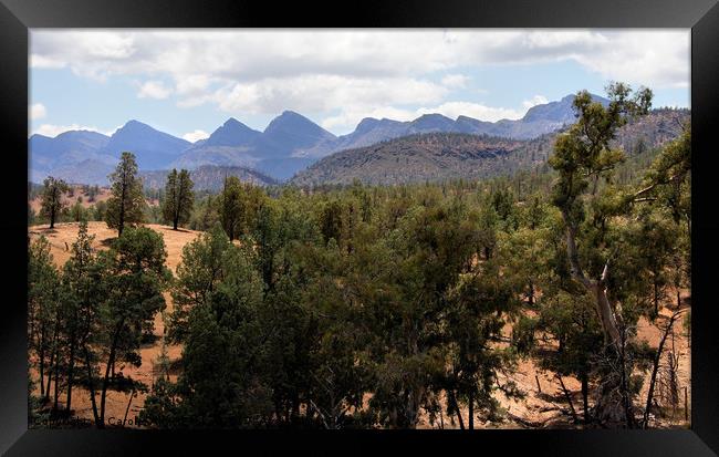 Wilpena Pound, Flinders Ranges Framed Print by Carole-Anne Fooks