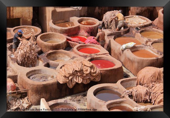 Leather Tannery in Fes Framed Print by Carole-Anne Fooks