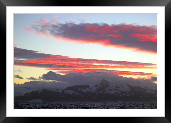 Sunset, South Georgia, Southern Atlantic Framed Mounted Print by Carole-Anne Fooks