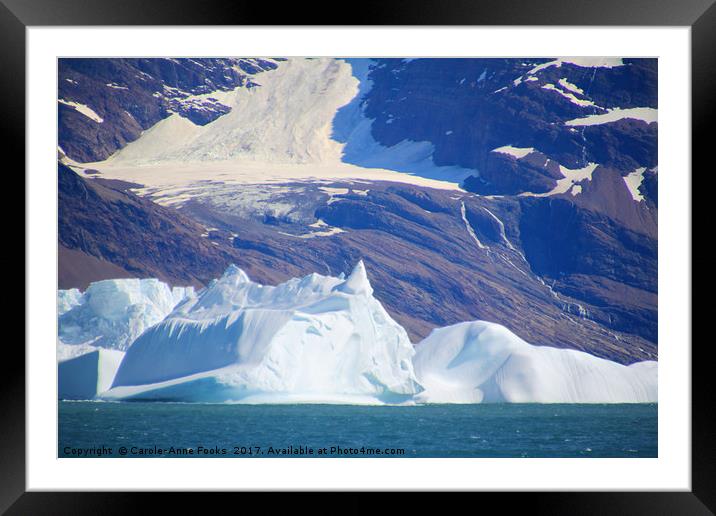 South Georgia, Southern Atlantic Framed Mounted Print by Carole-Anne Fooks