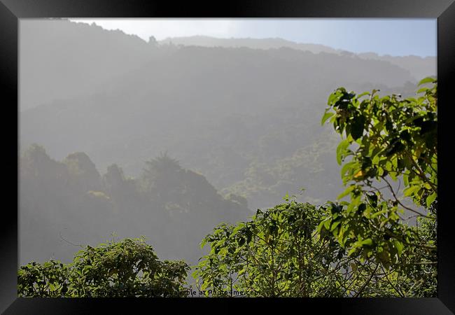 La Savegre Cloud Forest Framed Print by Carole-Anne Fooks