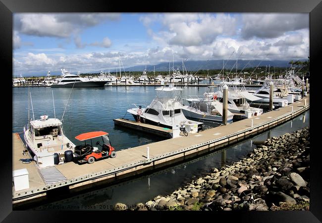 The Harbour at Quepos Framed Print by Carole-Anne Fooks