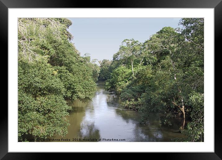 Sarapiqui River Framed Mounted Print by Carole-Anne Fooks