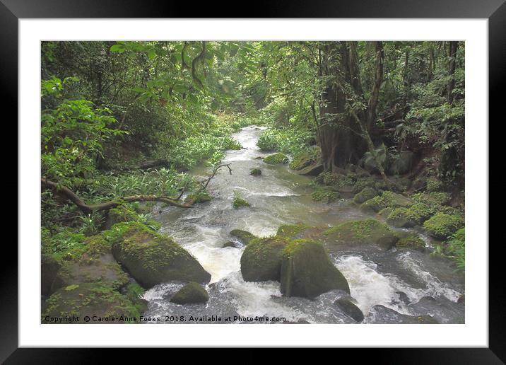 Sarapiqui River Framed Mounted Print by Carole-Anne Fooks