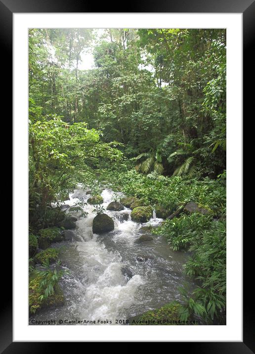 Sarapiqui River   Framed Mounted Print by Carole-Anne Fooks