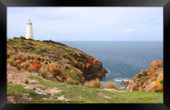 Cape Willoughby Lighthouse Framed Print by Carole-Anne Fooks