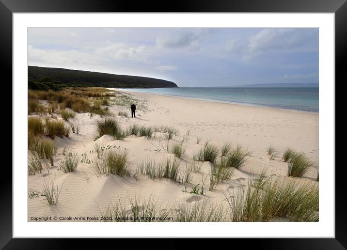 Antechamber Bay Framed Mounted Print by Carole-Anne Fooks