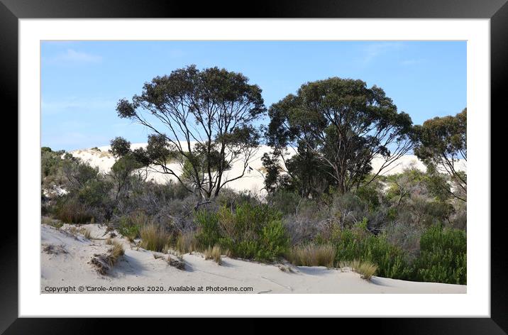 Little Sahara Viewed Through the Bush Framed Mounted Print by Carole-Anne Fooks