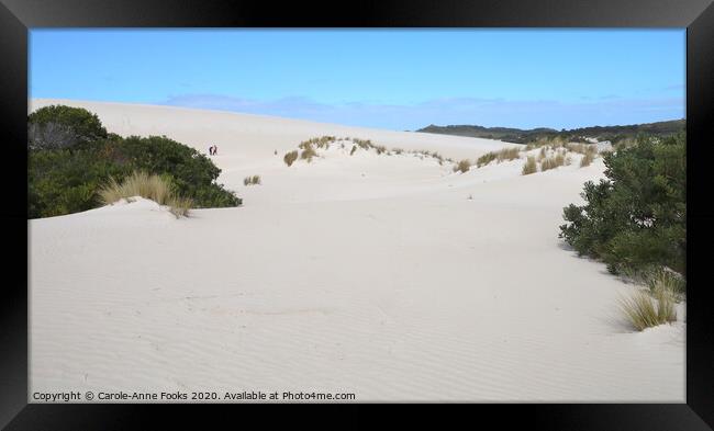 Little Sahara  Framed Print by Carole-Anne Fooks