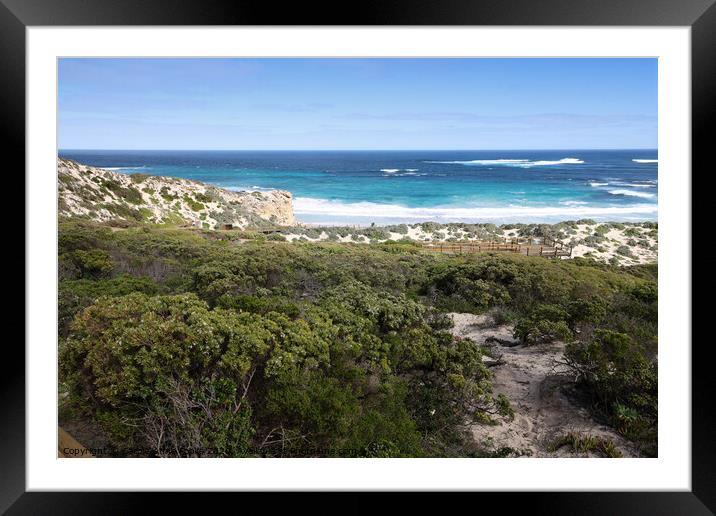 Seal Bay Framed Mounted Print by Carole-Anne Fooks