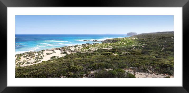 Seal Bay Framed Mounted Print by Carole-Anne Fooks