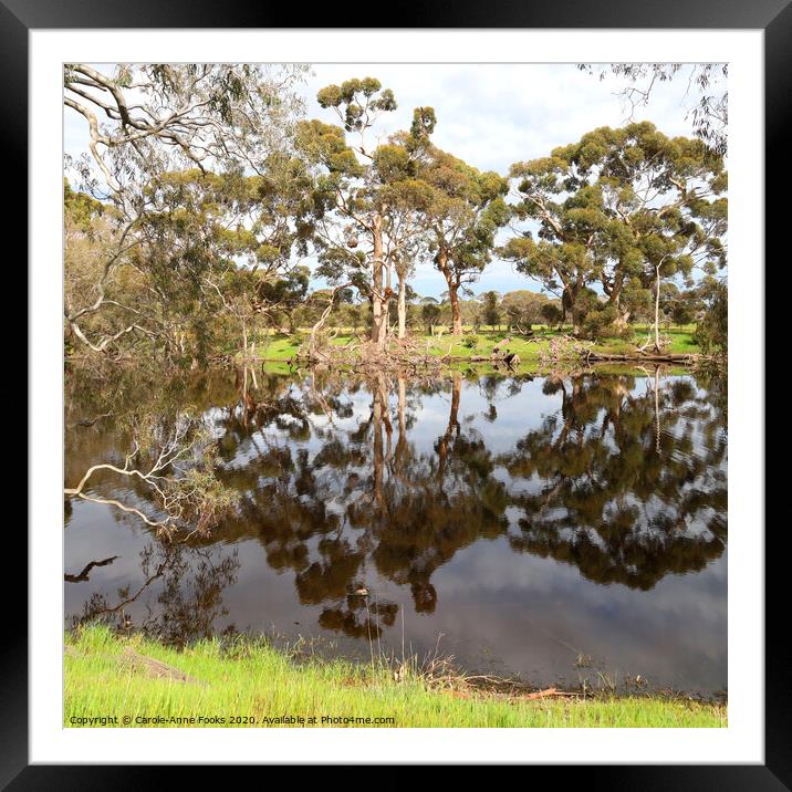 Duck Lagoon Framed Mounted Print by Carole-Anne Fooks