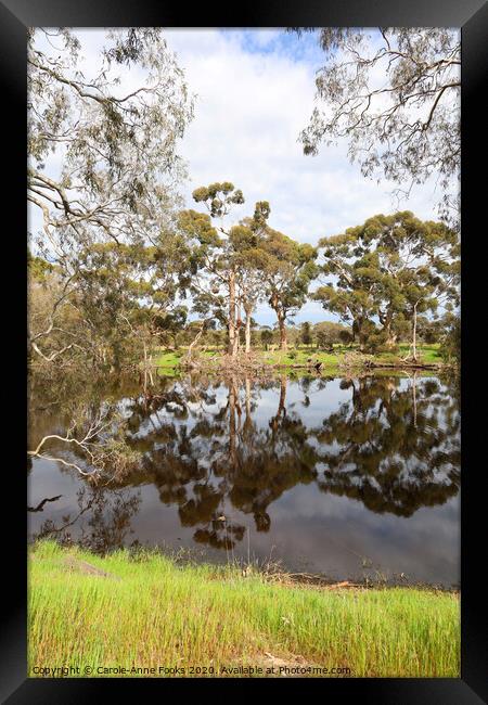 Duck Lagoon Framed Print by Carole-Anne Fooks