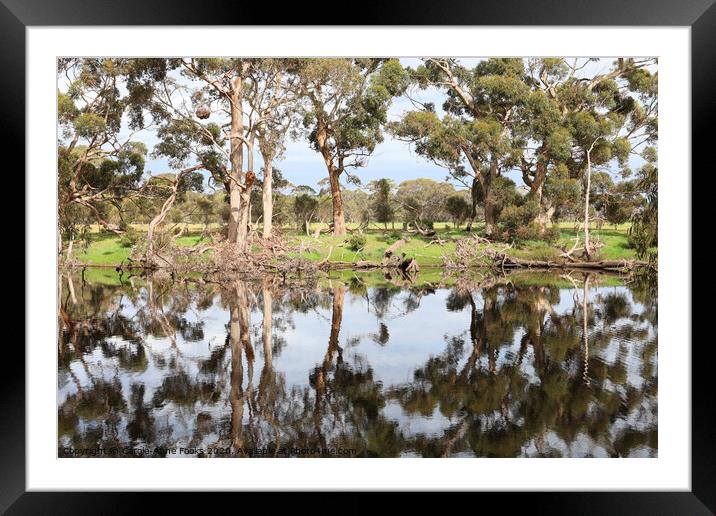 Duck Lagoon Framed Mounted Print by Carole-Anne Fooks