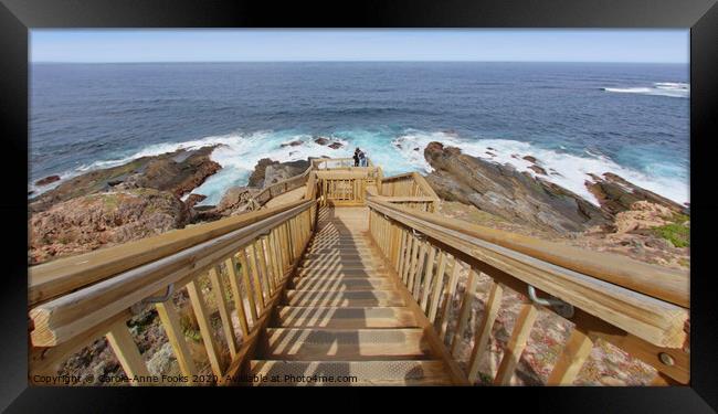 The Boardwalk and Steps at Cape du Couedic Framed Print by Carole-Anne Fooks
