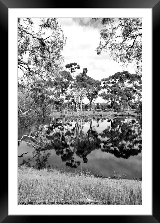 Duck Lagoon Reflections Framed Mounted Print by Carole-Anne Fooks