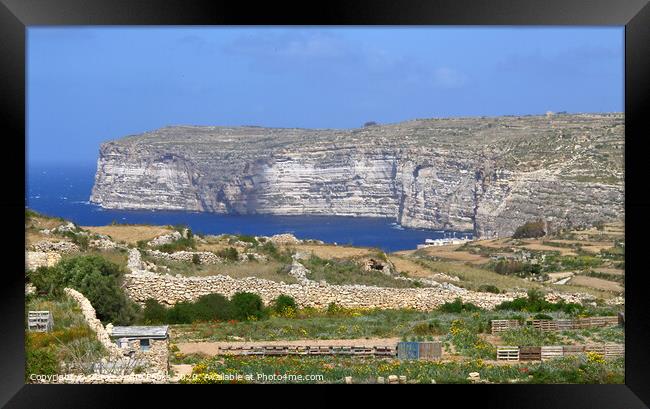 Sannap cliffs Gozo, Malta Framed Print by Carole-Anne Fooks