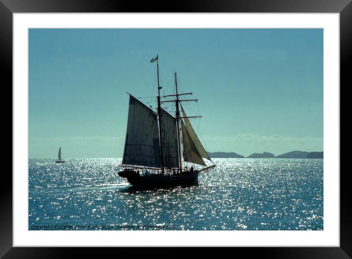 Bay of Islands, New Zealand Framed Mounted Print by Carole-Anne Fooks