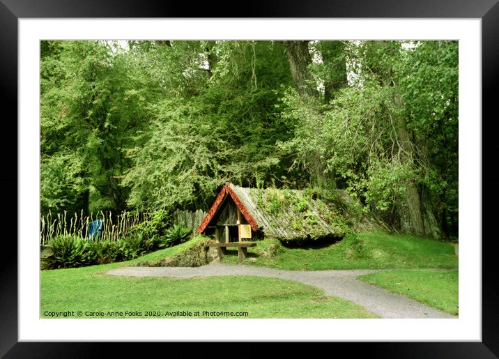 Mount Tarawera Buried Village, New Zealand Framed Mounted Print by Carole-Anne Fooks