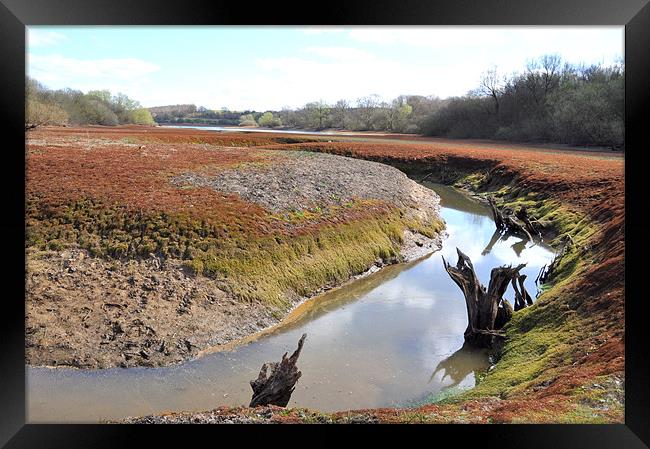 Water Shortage impacted Darwell Reservoir Framed Print by Robert Dudman