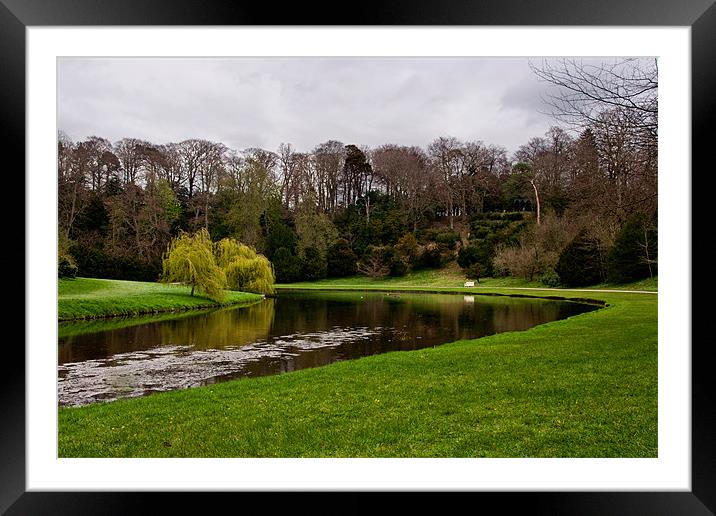River Skell in Spring Framed Mounted Print by Chris Andrew